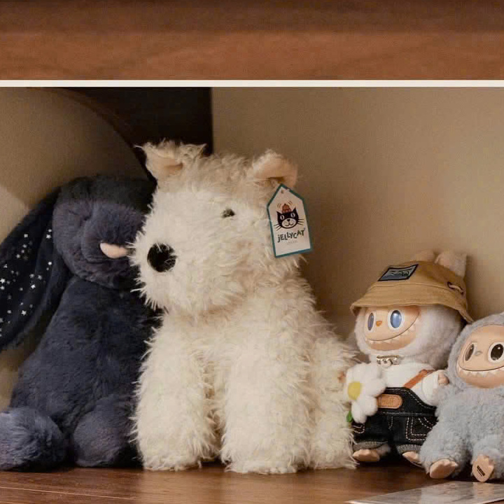 Minimal Guests House